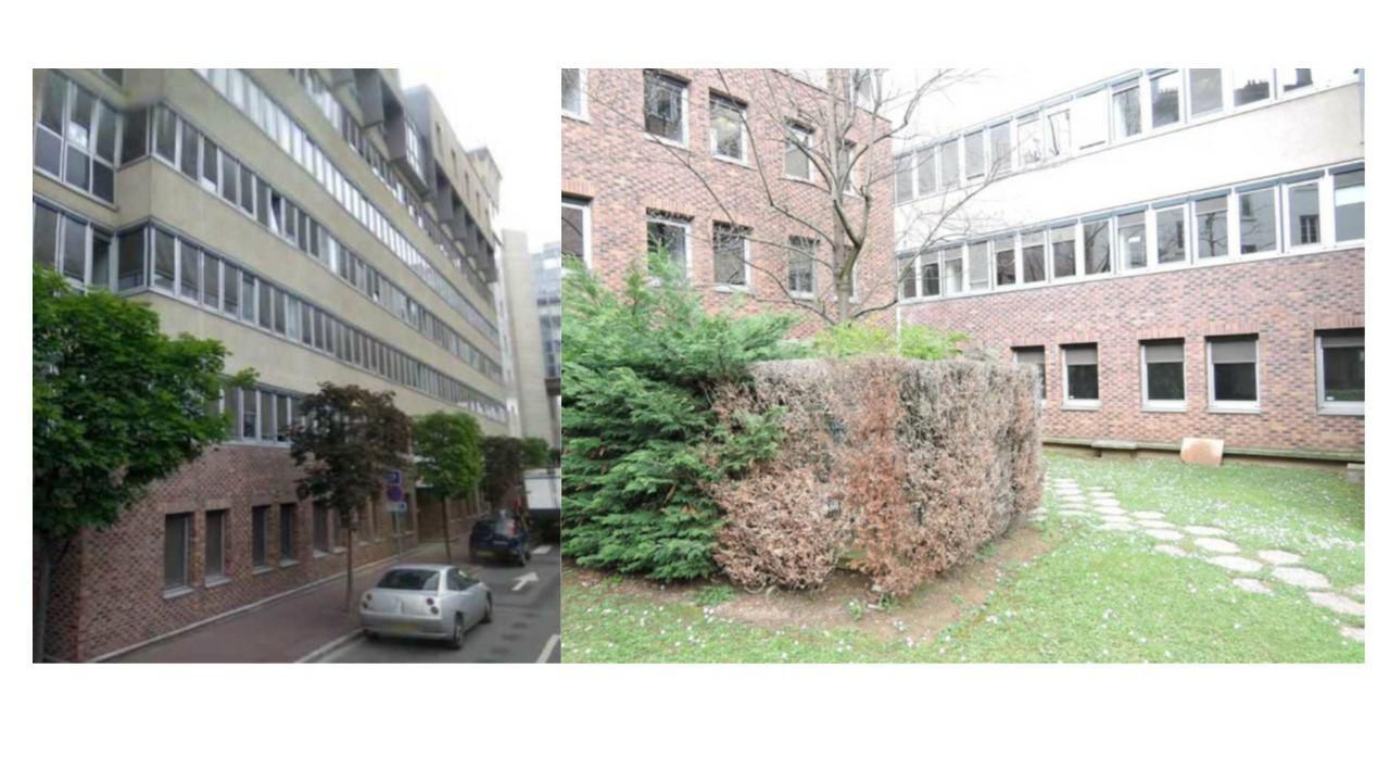 Bureau Issy-les-Moulineaux 1628m² Location bureau Issy-les-Moulineaux Hauts-de-Seine OLBUR2104815 0